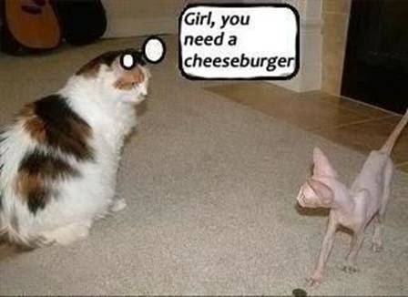 cheeseburger.bmp
