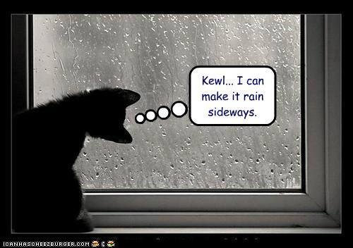 funny-pictures-kewl-i-can-make-it-rain-sideways%252C+lol+cat.jpg