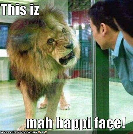 funny-pictures-happy-faced-lion.jpg
