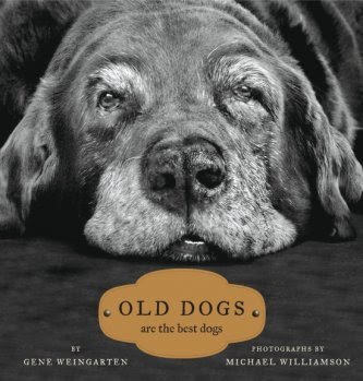Old_Dogs_cover.jpg