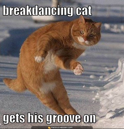 breakdancing-cat_0.jpg