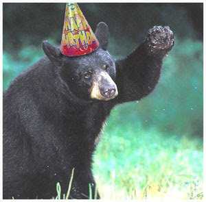 bear_happy_birthday.jpg