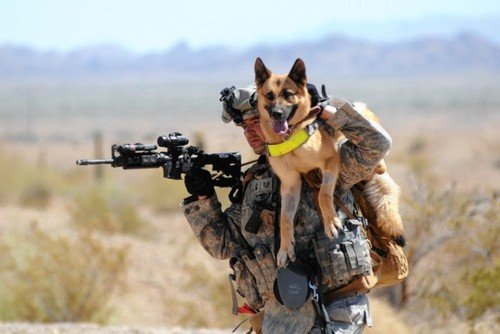 soldierdogs1.jpg