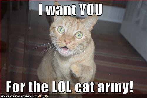 I+want+you+for+the+lol+cat+army.jpg