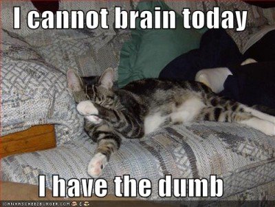 lolcat-relax-cannot-brain-today-400x301.jpg