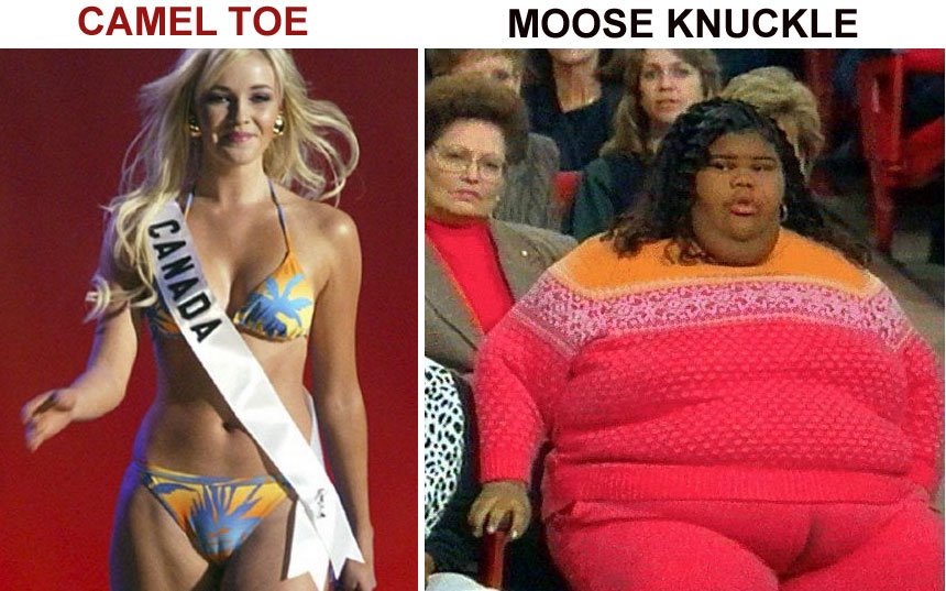 camel-toe-vs-moose-knuckle.jpg