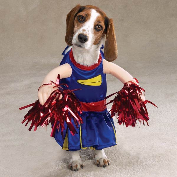 cheerleader-halloween-dog-costumes.JPG