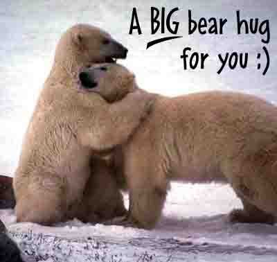 polar-bear-hugs.jpg