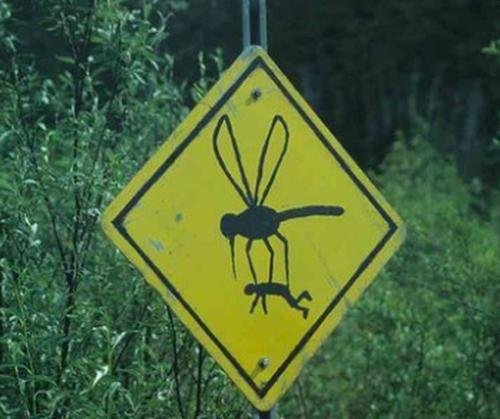 BewareMosquitoes.jpg
