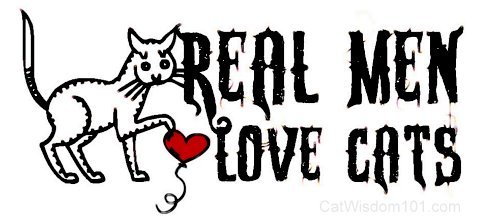 real-men-love-cats-cat-wisdom-101.jpg