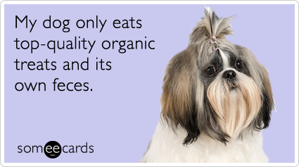 organic-treats-dog-pet-dogs-pets-ecards-someecards.png