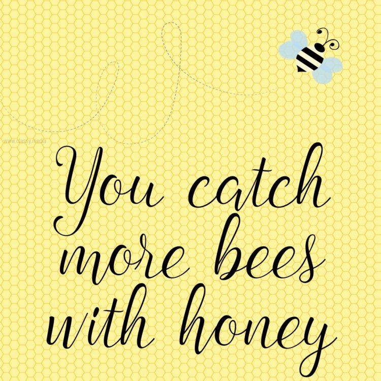 bees-honey-1024x1024.jpg