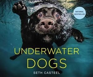 underwater-dogs.jpg