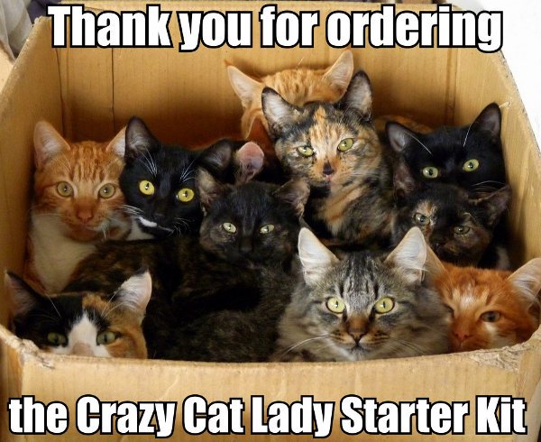 thank-you-for-ordering-the-crazy-cat-lady-starter-kit.jpg