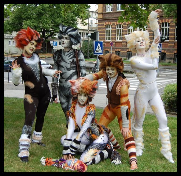 Cats_costumes_3_by_Rollwurst.jpg