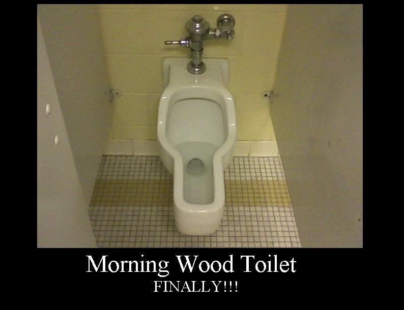 Morning_Wood_Toilet_by_sudadera02.jpg