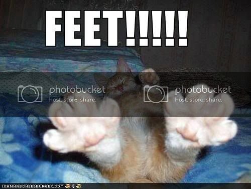 funny-pictures-feet.jpg