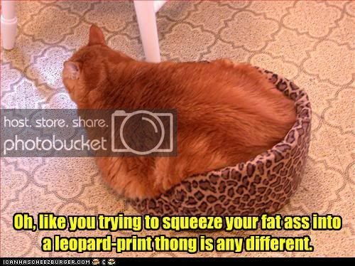 funny-pictures-oh-like-you-trying-to-squeeze-your-fat-ass-into-a-leopard-print-thong-is-any-different.jpg