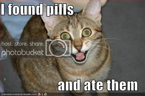 lolcat-funny-picture-found-pills-ate-eat.jpg