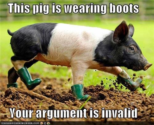 Funny-pictures-this-pig-is-wearing-boots-your-argument-is-invalid.jpg