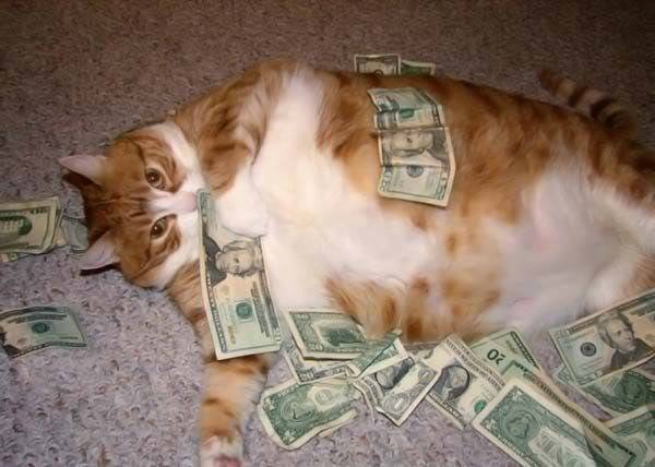Cat_Rolling_In_Money.jpg