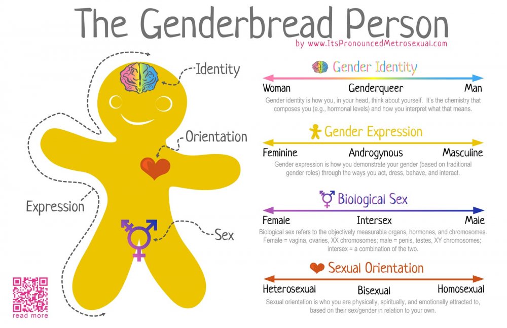 1600-Genderbread-Person.jpg