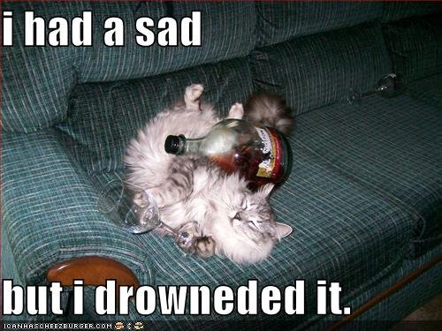 funny-pictures-passed-out-alcoholic-cat-couch-fluffy.jpg