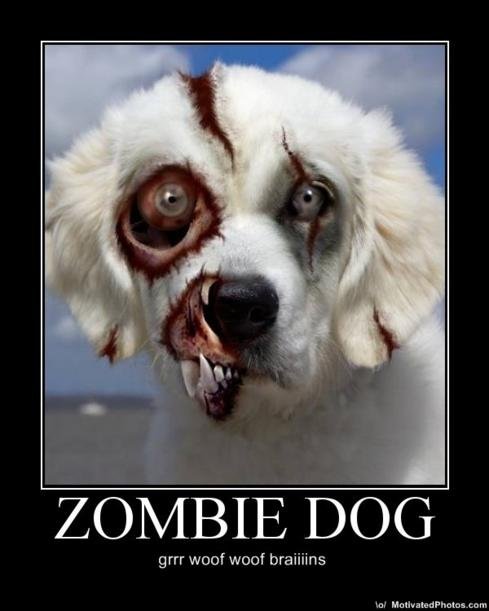 Demotivational-Zombie-Dog.jpg