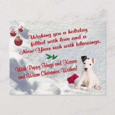 jack_russell_christmas_hugs_and_kisses_postcard-p239685206166185689qibm_400.jpg