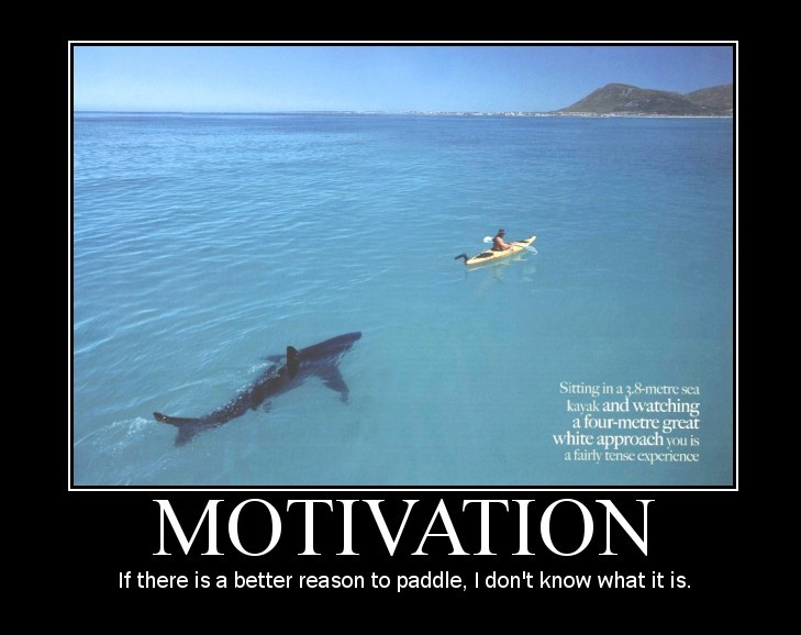 shark-motivation.png