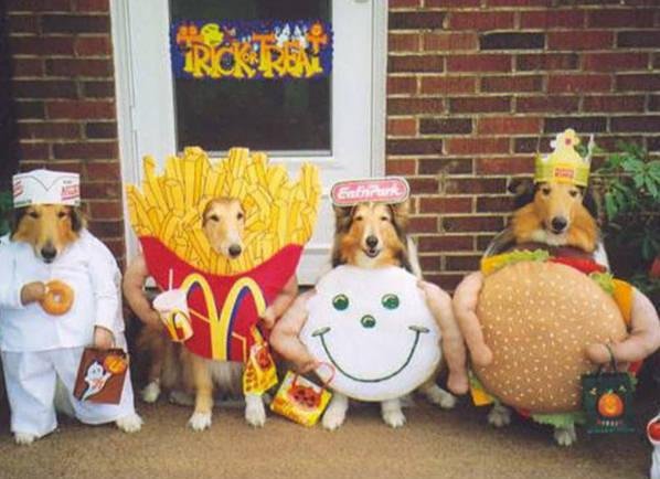 funny-pets-halloween-costumes-dogs-dressed-up-in-fast-food-outfits.jpg