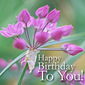 birthday-images-with-flowers.jpg