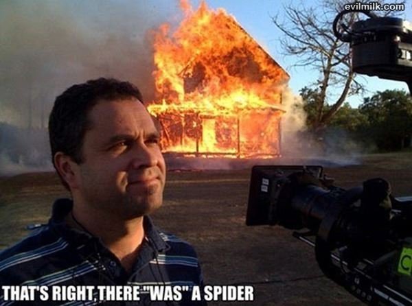 There_Was_A_Spider.jpg