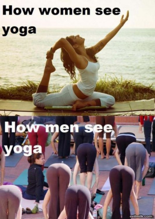 Yoga668.jpg