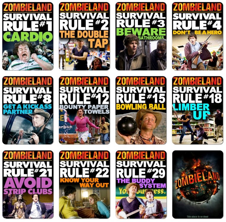 zombieland-rule-set-survival-guide-complete-rules-to-survive-surviving-zombie-apocalypse-zombies.jpg