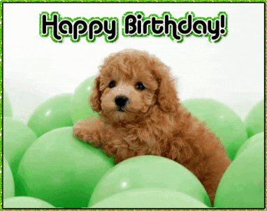 happy_birthday_card_dog.gif