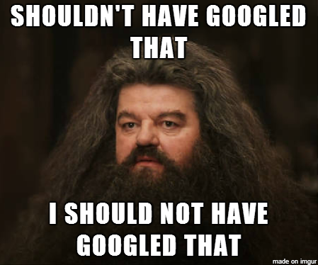 Image result for I should not have googled that hagrid