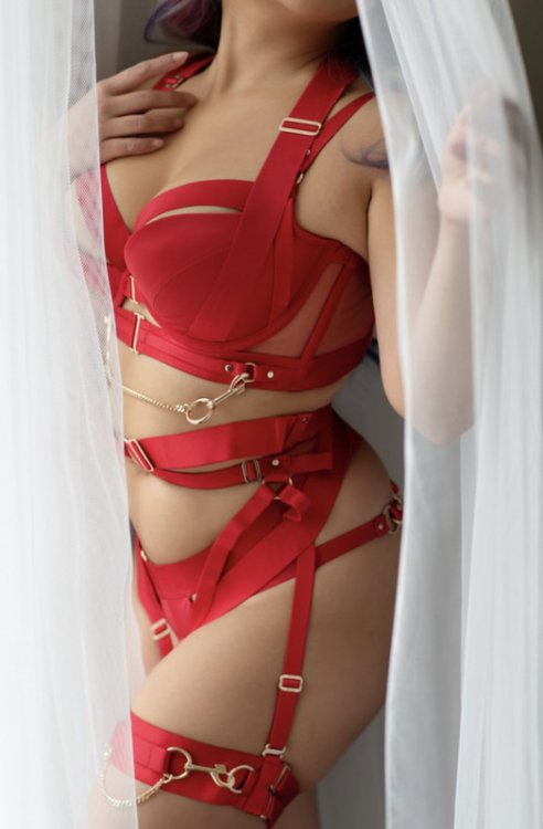 red1.jpg
