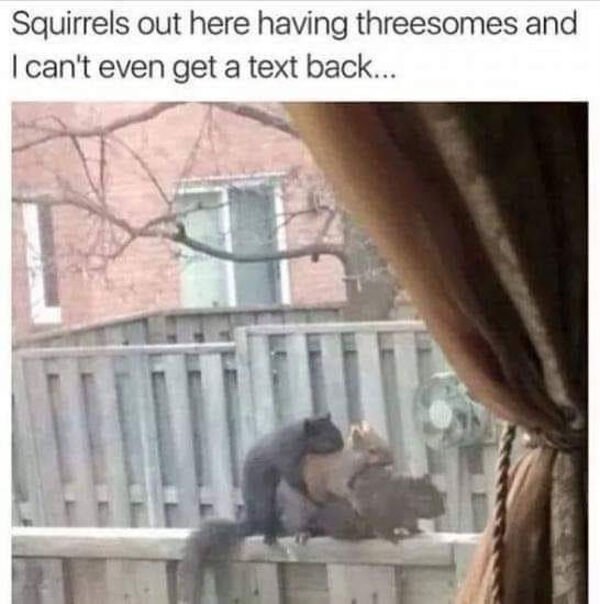 __c336f7600f6d8cc9072dbe3f76589160_width