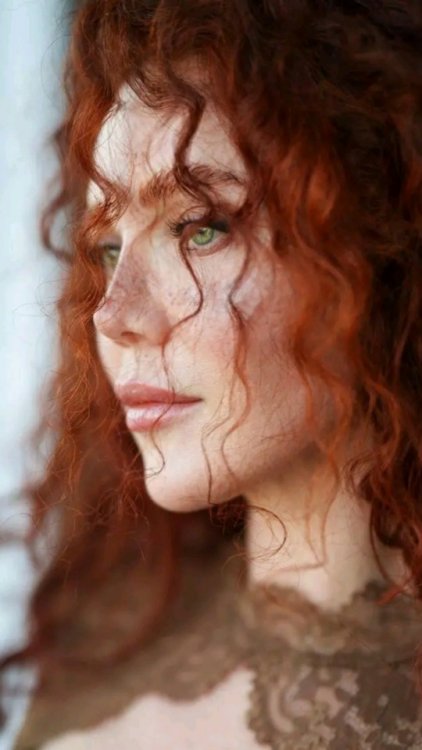 8304e54c581f47b1bed36827920a577ae53a62de