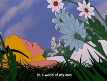 Alice In Wonderland In AWorld Of My Own GIF - AliceInWonderland InAWorldOfMyOwn GIFs