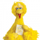 Bigbird