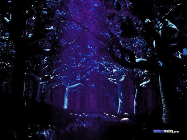 dark forest abstract image