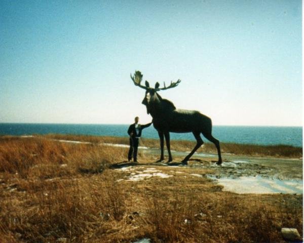 East Coast Moose