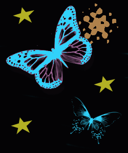 butterfly colors stars black