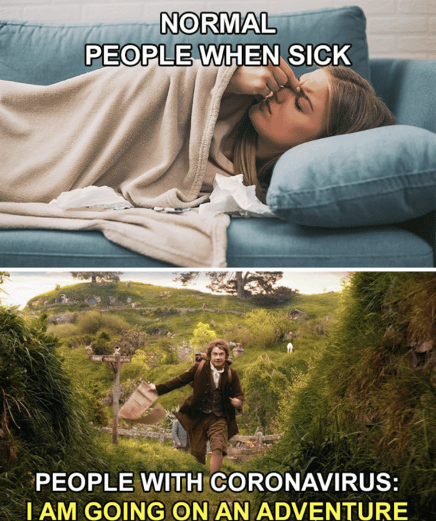 coronavirus-travel-memes-7.png