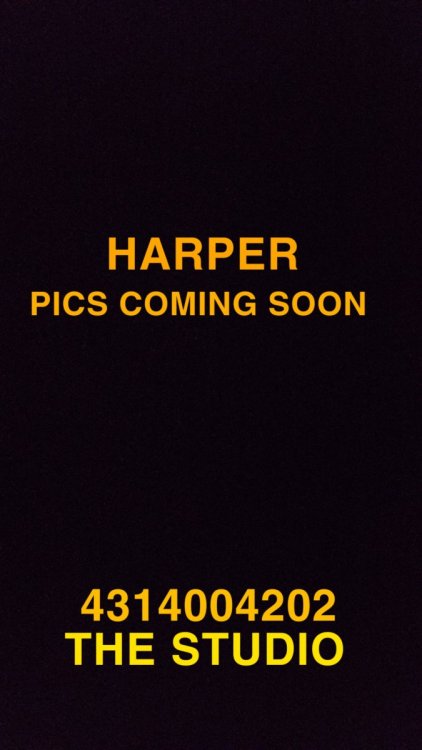HARPER.jpg