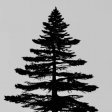 Woodsman
